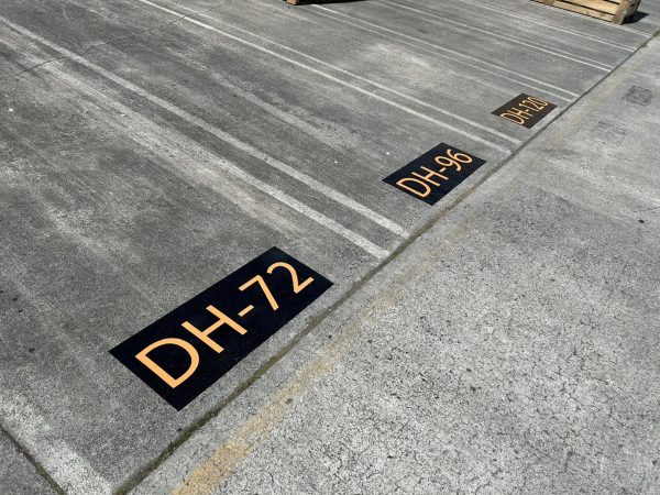 496929093_1232273502236012_6342256450555087572_n