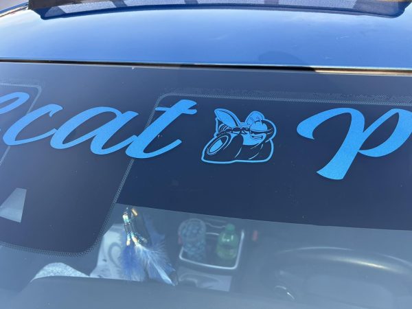 Custom car graphics