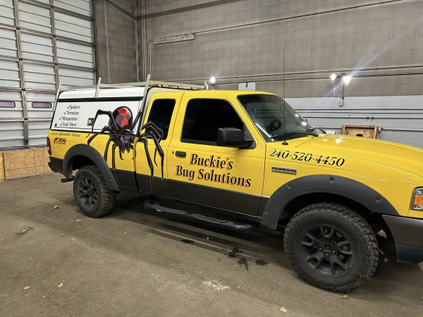 Custom Vehicle Spot Graphics